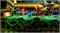 SEGA Sonic Superstars — PS5 — версия PEGI 1000001583
