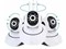 IP камера Veila IP P2P Onvif HD Wi-Fi 3586 - фото 7019 IP камера Veila IP P2P Onvif HD Wi-Fi 3586 - фото 7019